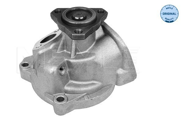 MEYLE Water Pump 113 012 0019