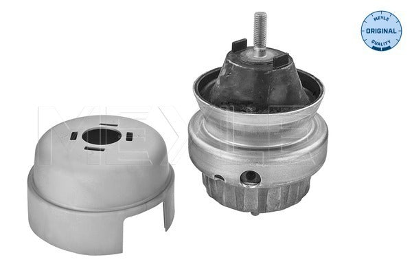 MEYLE Engine Mount 100 199 3161
