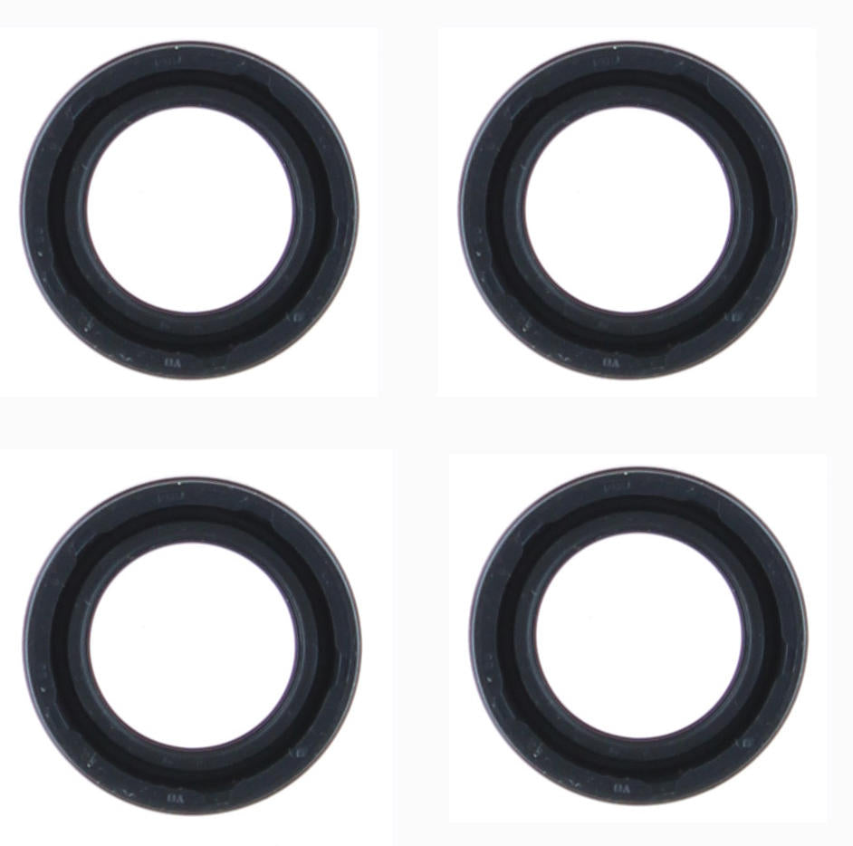 Permaseal Injector Seal INS020-04