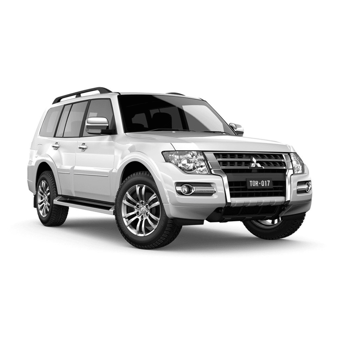 Torqit NX Pajero 3.2L 11/2013 on DPF