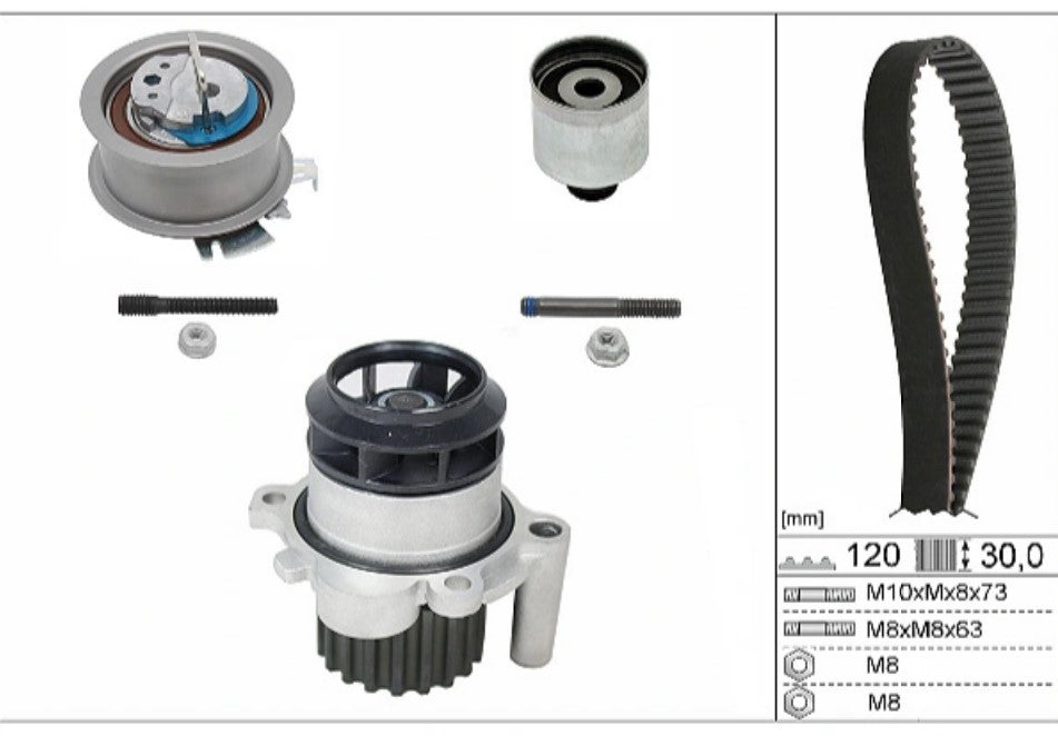INA Water Pump & Timing Belt Kit 530 0201 30