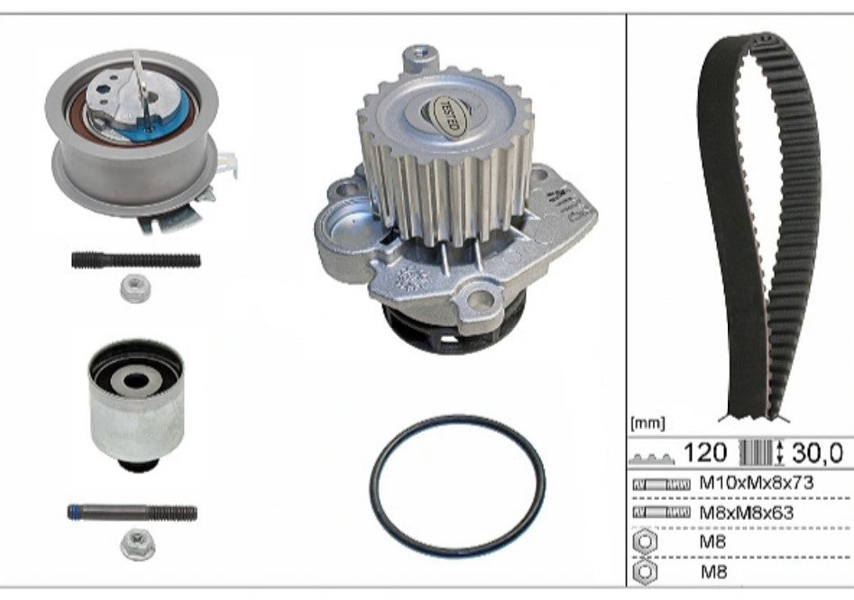 INA Water Pump & Timing Belt Kit 530 0201 33
