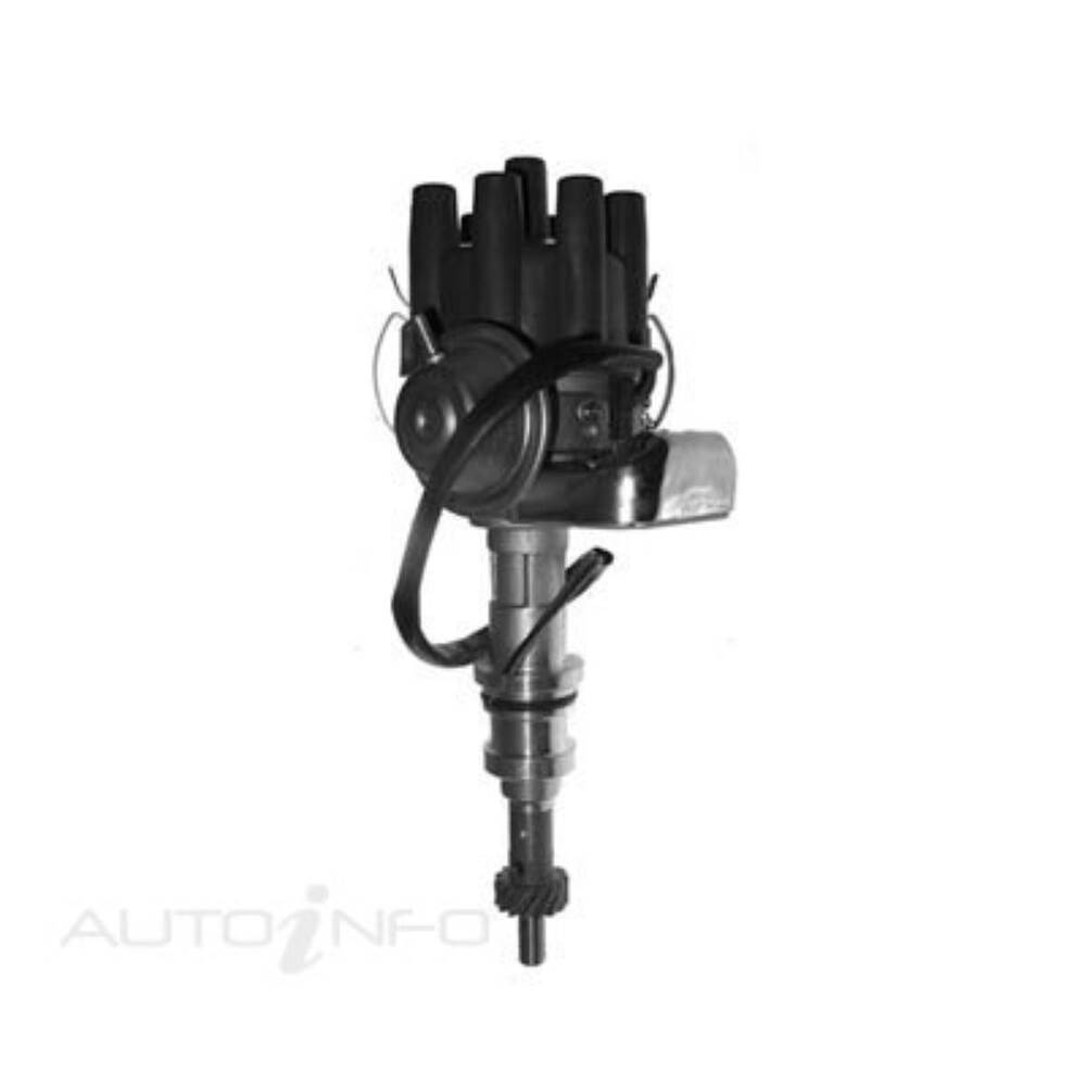 RAE Ignition Distributor DMCWINB