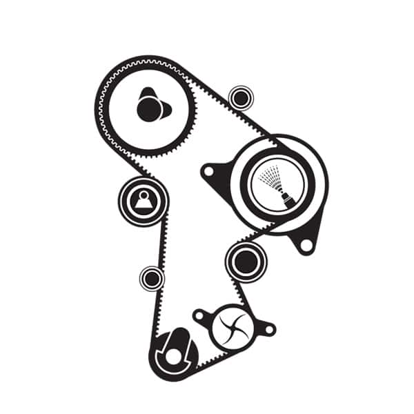 SKF Water Pump & Timing Belt Kit VKMC 01263-1