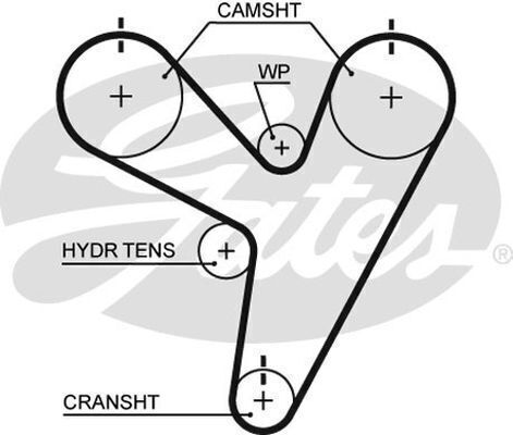 Gates Timing Belt T295