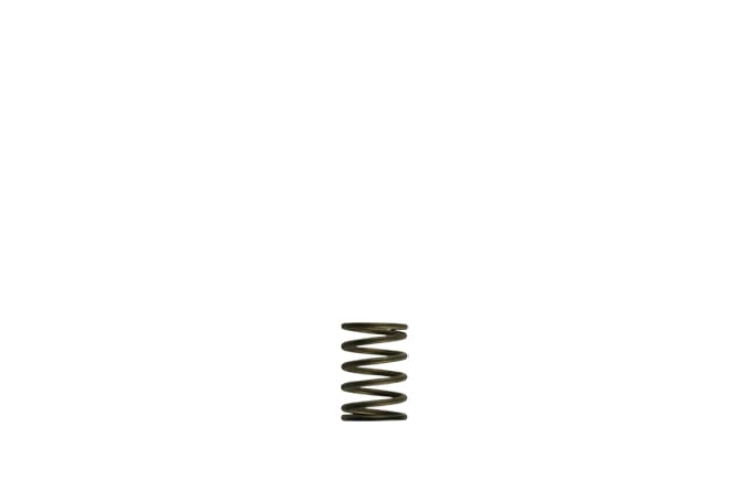 Turbosmart WG38/40 3psi Black Inner Spring
