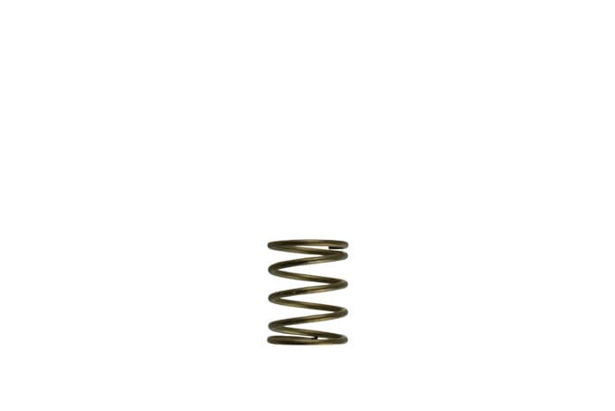 Turbosmart WG45/50 3psi Orange Inner Spring