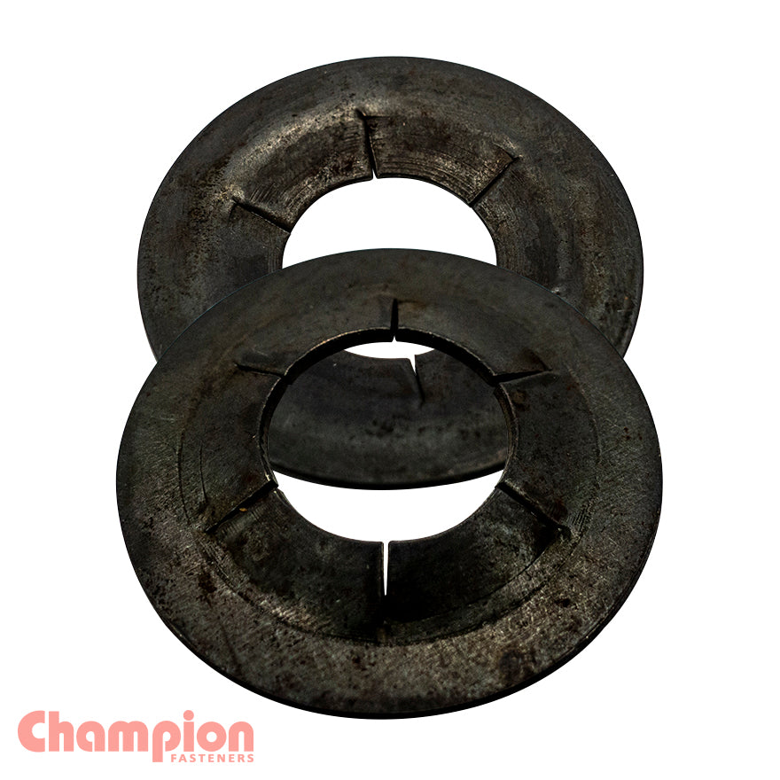 Champion Fasteners Lock Ring Spn Type External Shaft 4mm SPN4