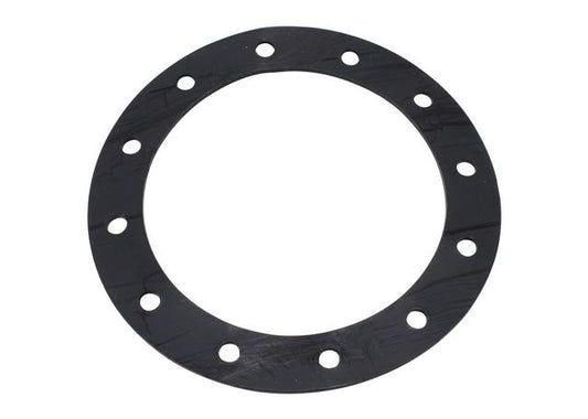 Aeroflow Fuel Cell PTFE Teflon Gasket
