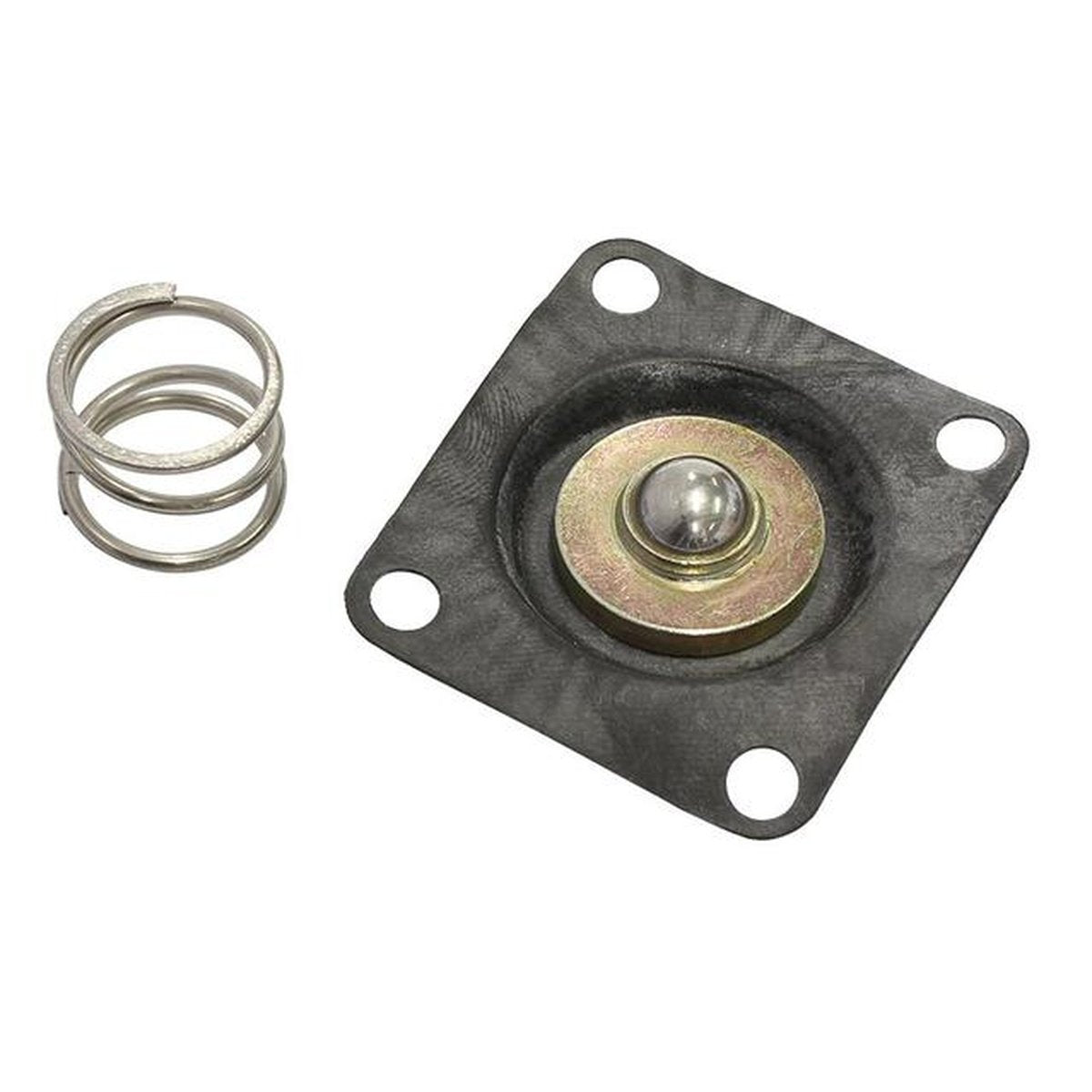 Aeroflow AF59-4500 Bypass Regulator Replacement Diaphragm, Spring 49-4500/4501