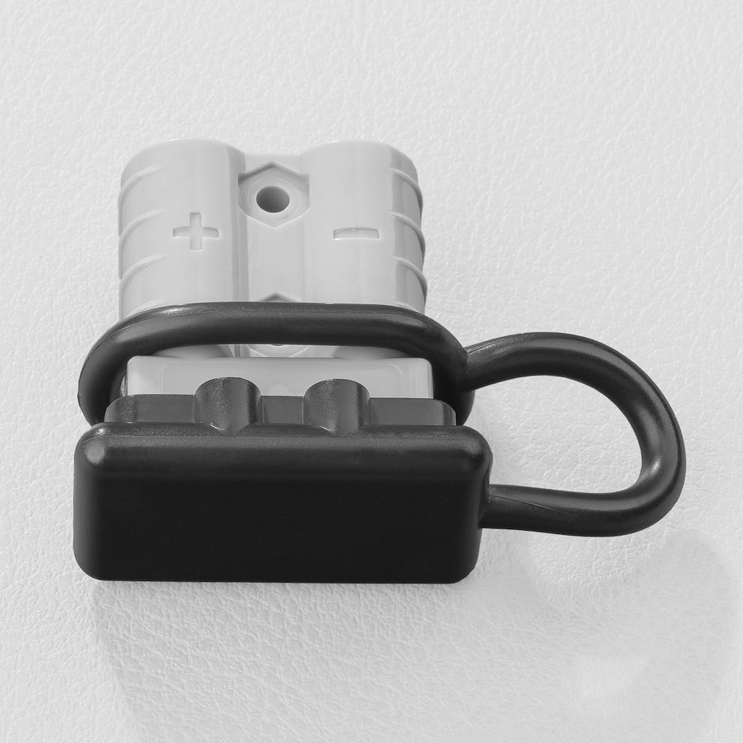 STEDI Anderson Style Dust Cap ANDSGLDUST