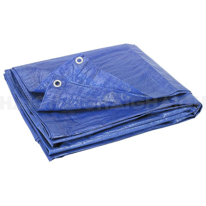 Cargo Mate Polytarp 10' X 12' Blue - PTB1012