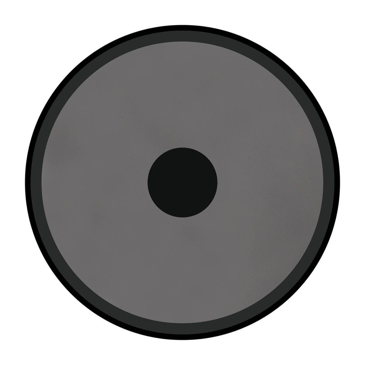 Garmin Dashboard Disc