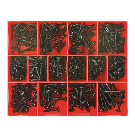 Champion Screw Self Tapp Black Pan/Raised Head Phillips Assortment Pack Metric 14 Sizes 415Pk CA1200