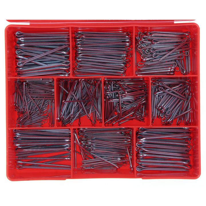Champion Split Pin Assortment Pack Imperial 10 Sizes 795Pk CA800