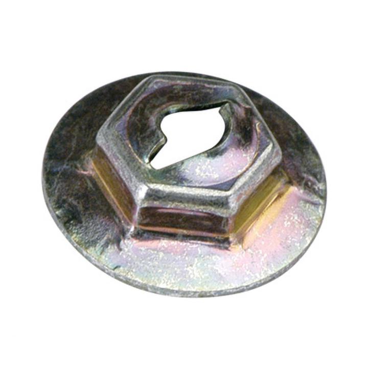 Champion Self Cut Nuts 1/8" 50Pk CBP78