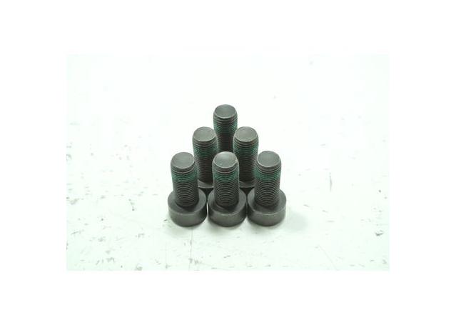 ClutchPro Flywheel Bolt Set 10x1.0x22.5 73Nm (6Pk) FWBAU02