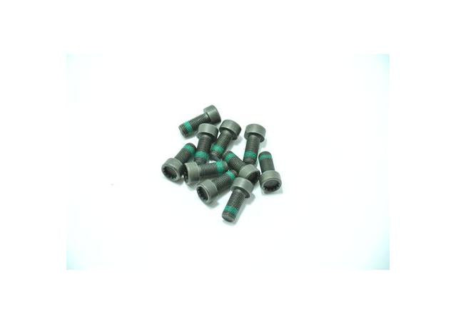 ClutchPro Flywheel Bolt Set 10x1.0x22.5 73Nm (10Pk) FWBAU07