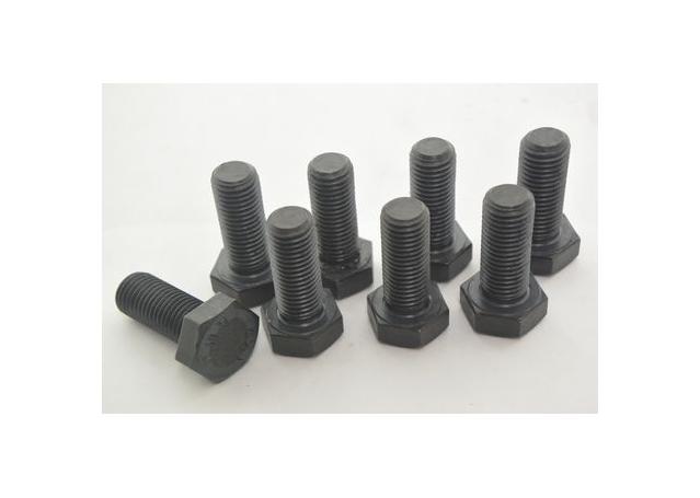 ClutchPro Flywheel Bolt Set 12x1.5x30 132Nm (8Pk) FWBLR02