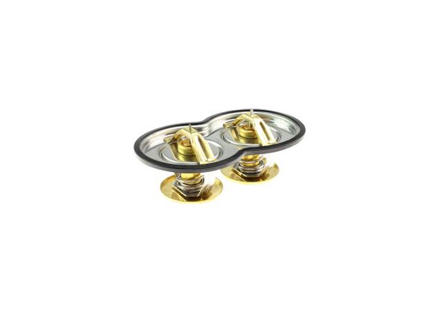 Dayco Thermostat DT217M
