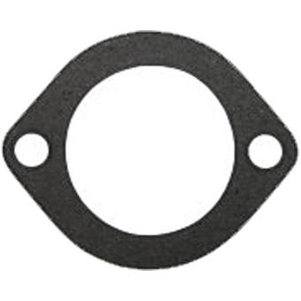 Dayco Thermostat Seal DTG15