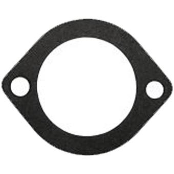 Dayco Thermostat Seal DTG19