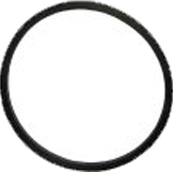 Dayco Thermostat Seal DTG31