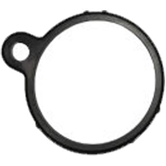 Dayco Thermostat Seal DTG32