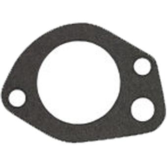Dayco Thermostat Seal DTG38