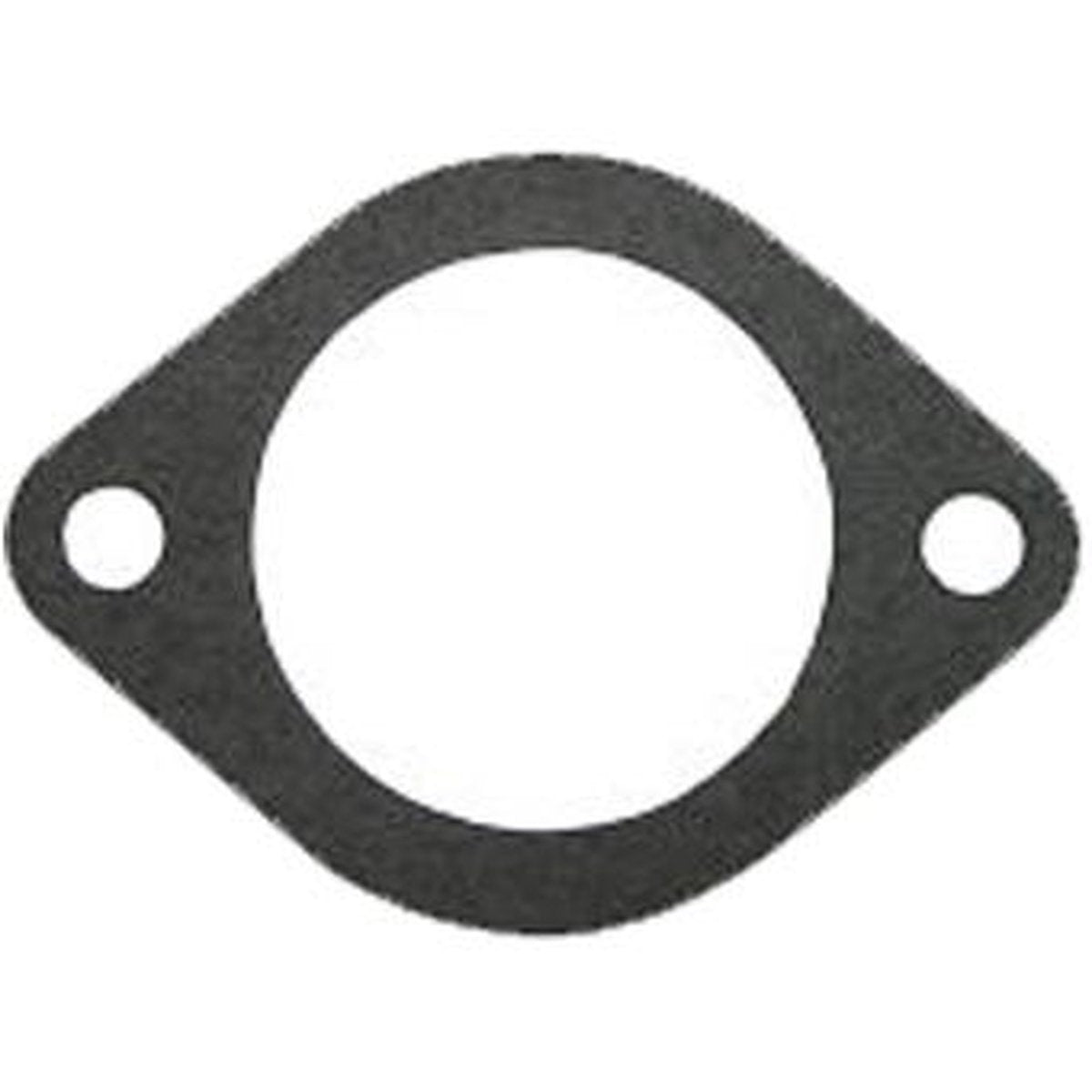 Dayco Thermostat Seal DTG4