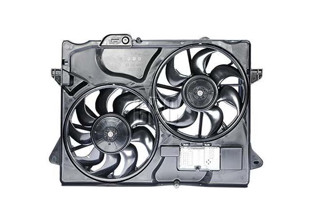 Delphi Radiator Dual Fan Assembly 12V EFX12005