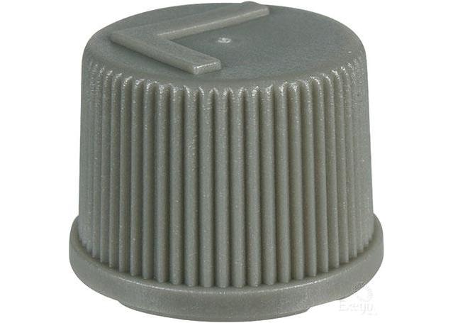 DENSO Service Valve Cap Low Side R134A (Pack of 10) CPX0021