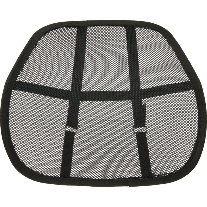 DUSC Breathable Mesh Lower Back Support