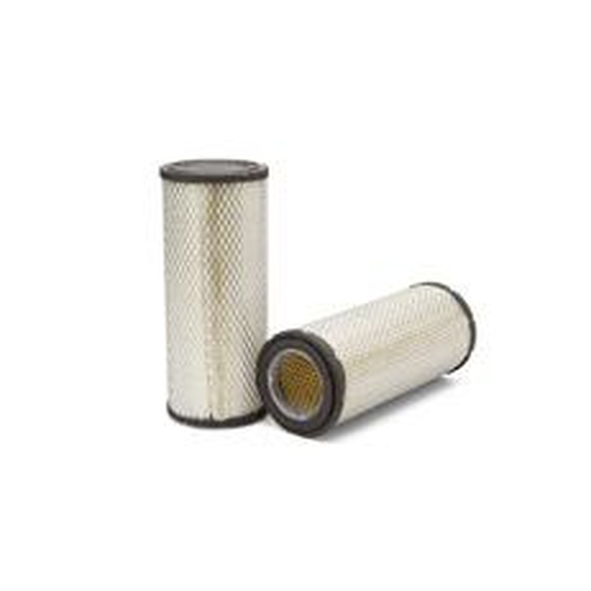 Fleetguard Air Filter AF25555