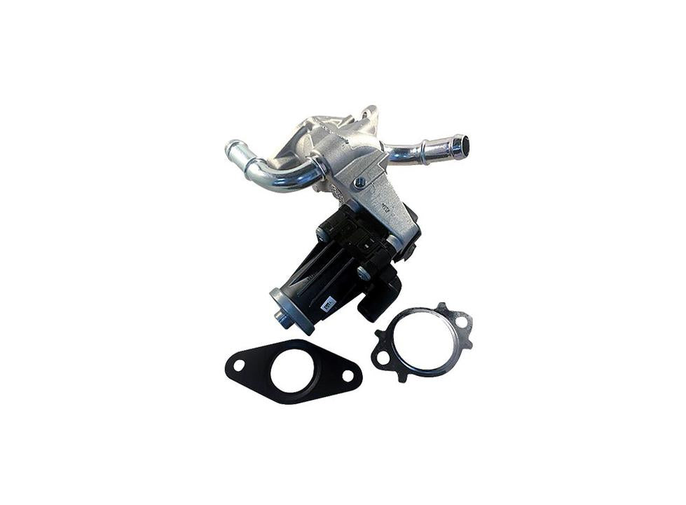 Genuine OEM Parts EGR Valve EV142GEN