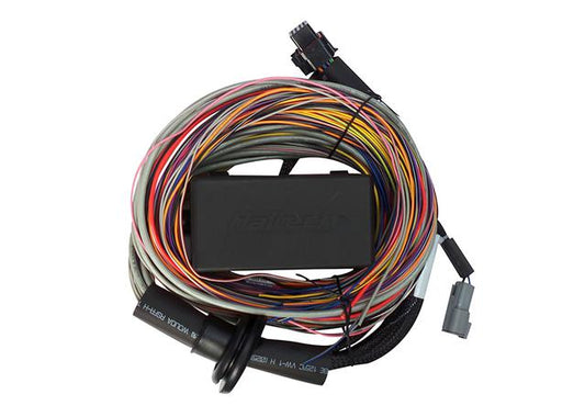 Haltech Elite 750 Premium Universal Wire-in Harness 2.5m (8') HT-140604