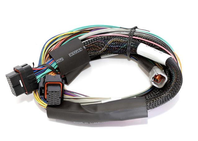 Haltech HT-140802 Elite 1000 2.5m Basic Universal Wire-in Harness Only