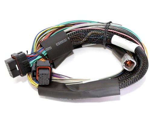 Haltech HT-140802 Elite 1000 2.5m Basic Universal Wire-in Harness Only