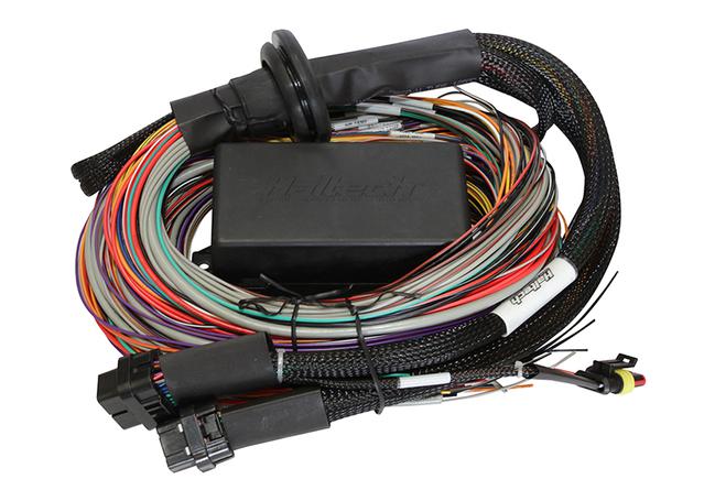 Haltech HT-141204 Elite 2000 2.5m Premium Universal Wire-in Harness Only