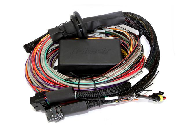 Haltech Elite 2500 - 2.5m (8 ft) Premium Universal Wire-in Harness HT-141304