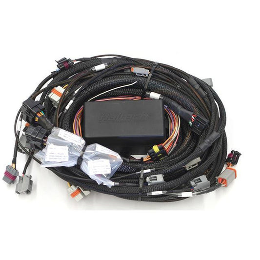 Haltech Elite 2000/2500 GM GEN IV LSx (LS2/LS3 etc) non DBW Terminated Harness (EV1) HT-141364
