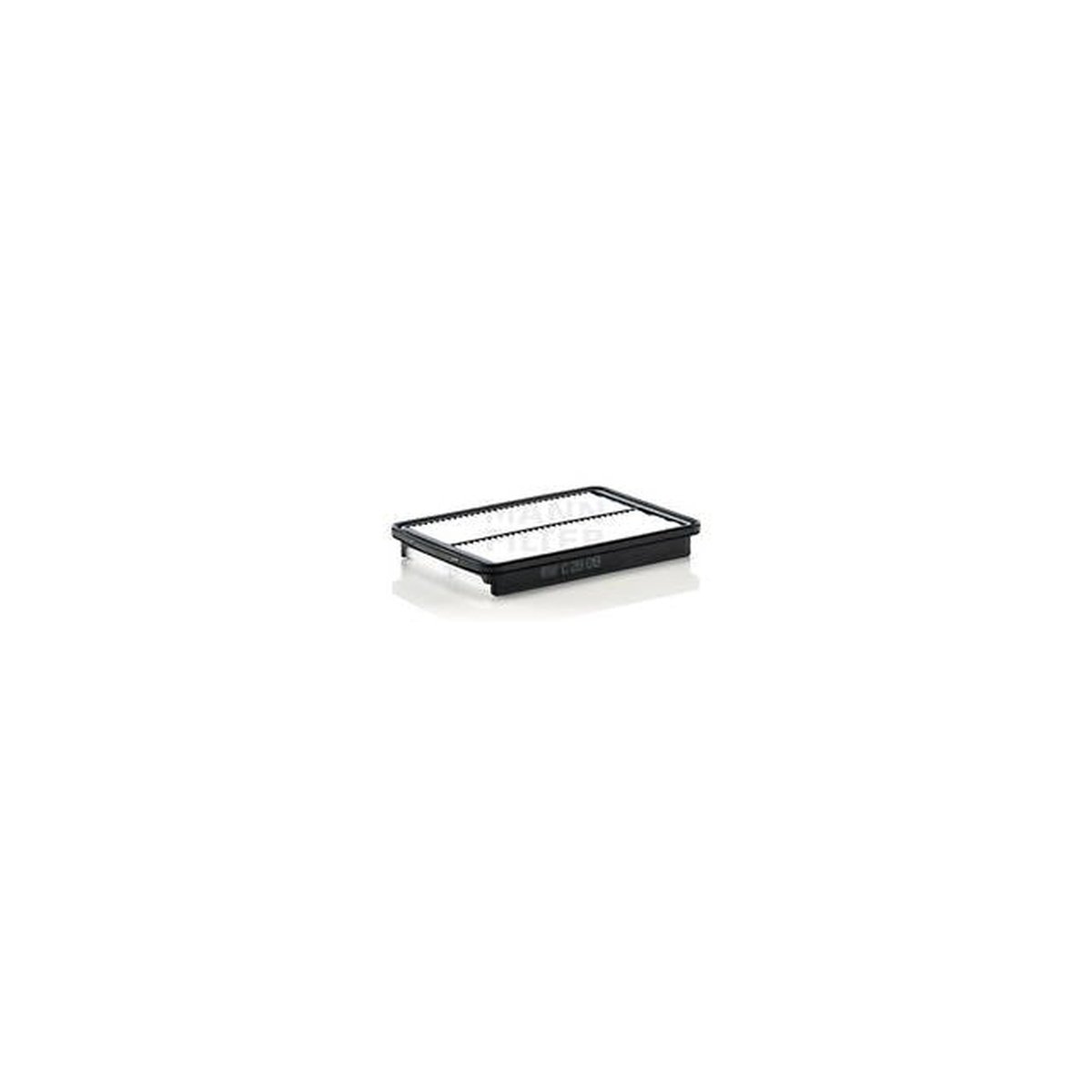 MANN Air Filter C29019