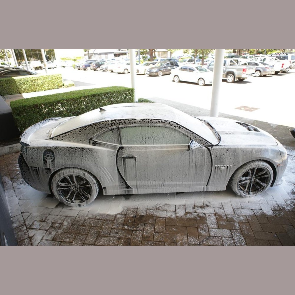 Meguiars Car Wash Snow Cannon Kit SNOWKIT