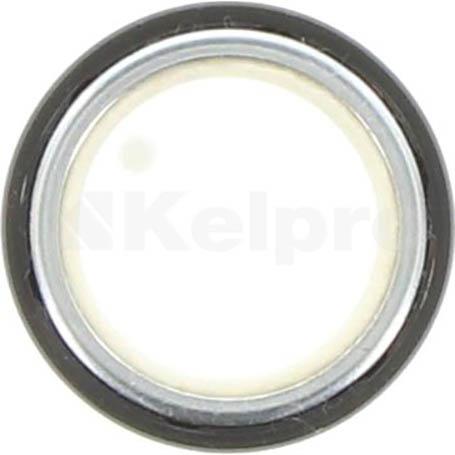 Kelpro Oil Seal 97349