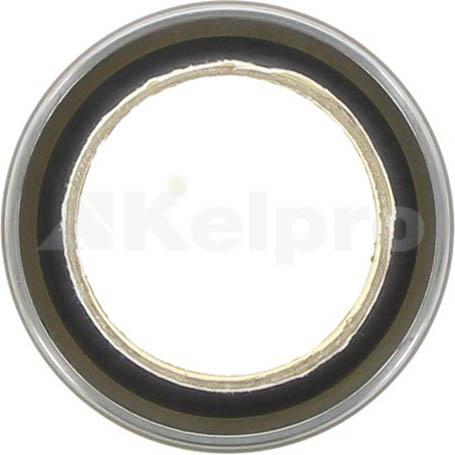 Kelpro Oil Seal 98119