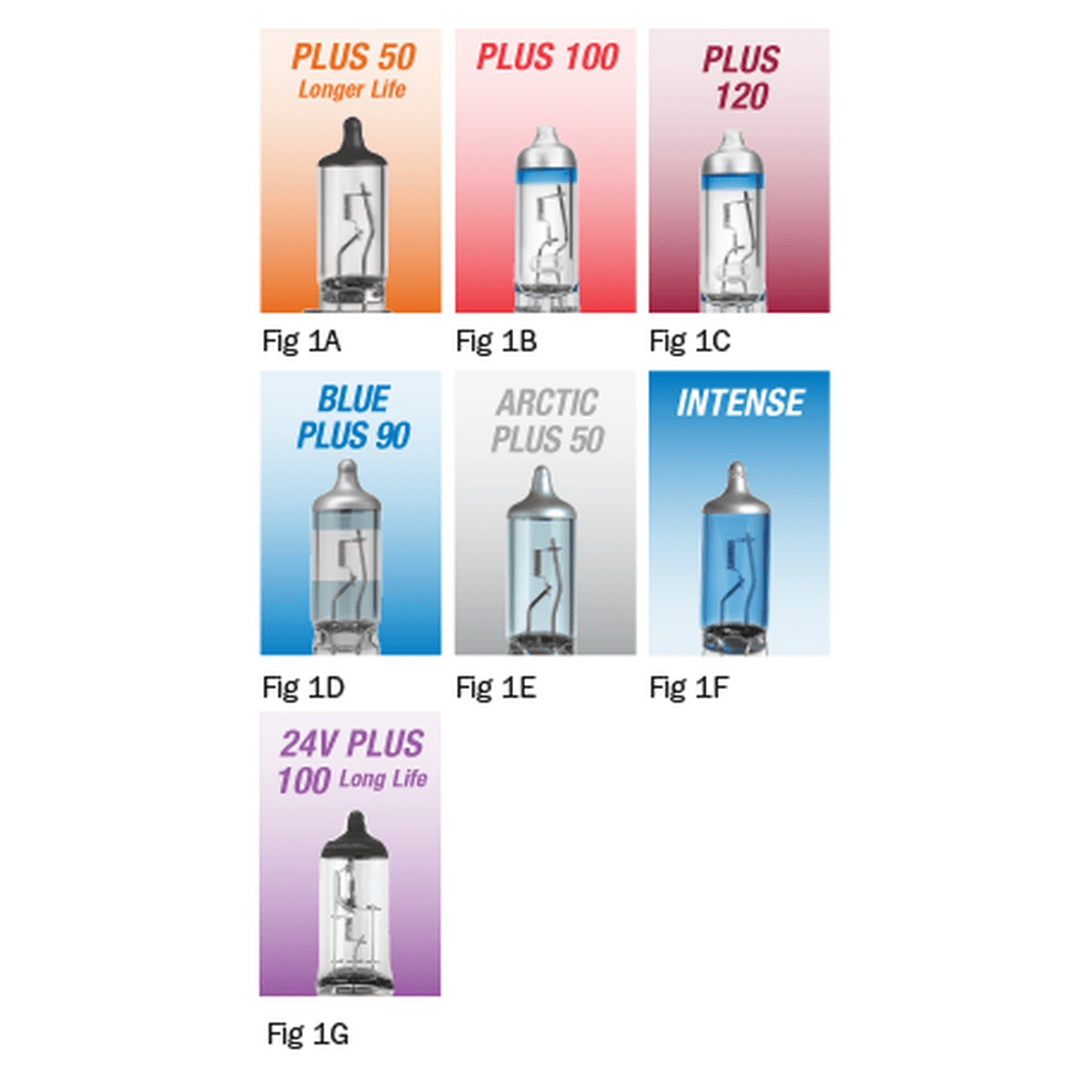 Narva H7 Globe 24V 70W Plus 100 2 Pack 48730BL2