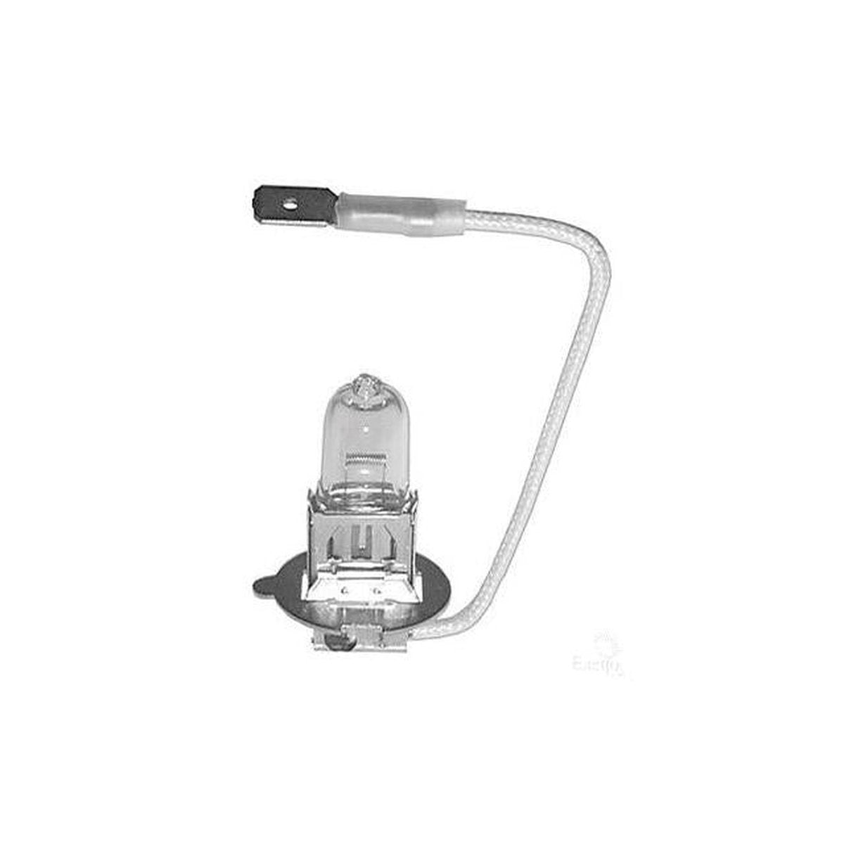 OEX H3 Globe 24V 100W GLX16320