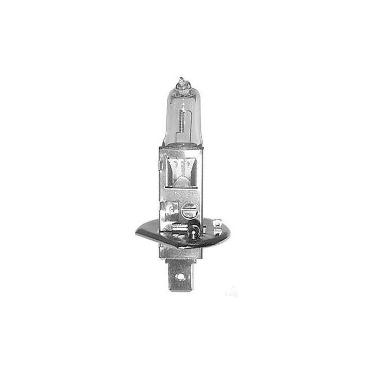 OEX H1 Globe 12V 55W +30 GLX16551