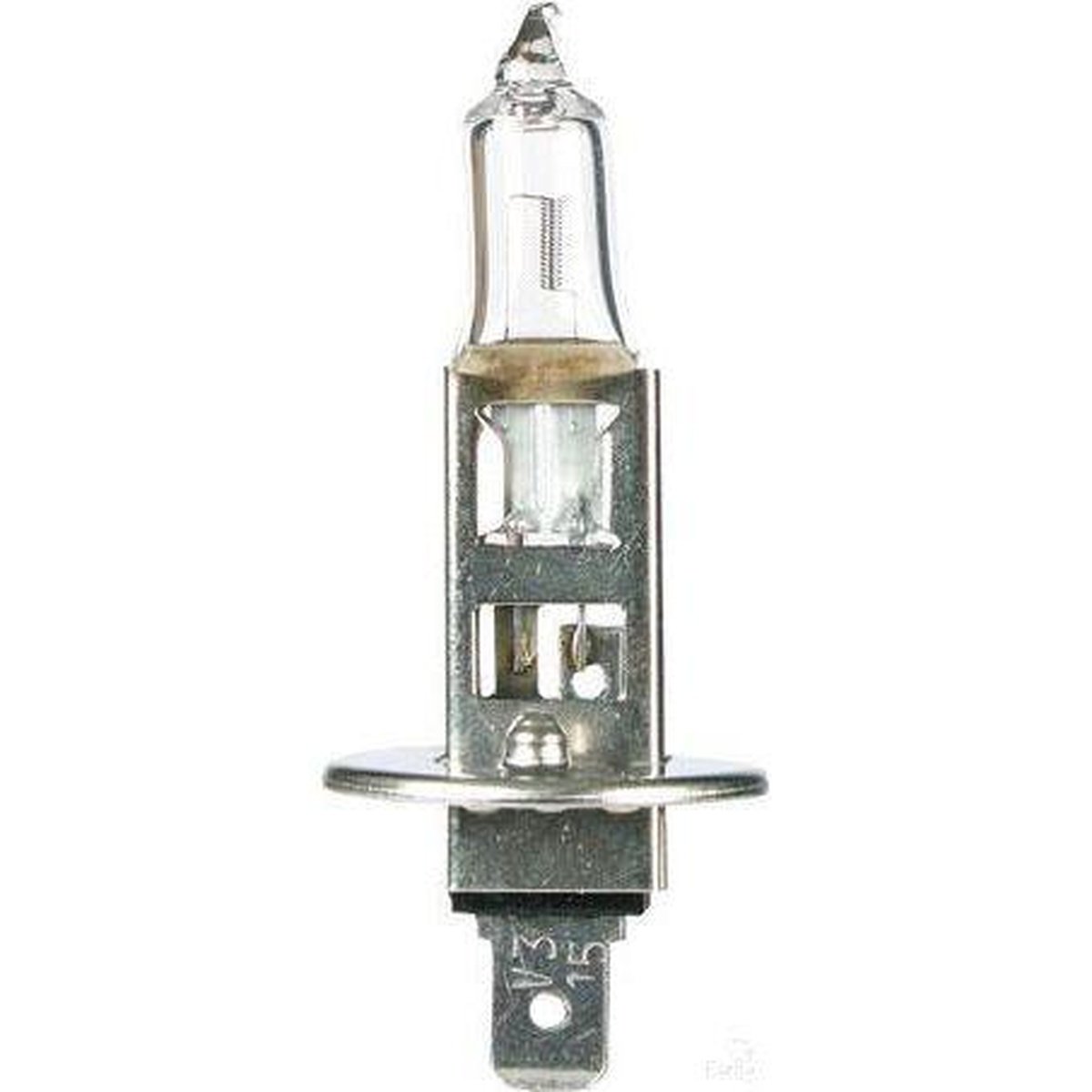 OEX H1 Globe 12V 55W P145S Season GLX16557