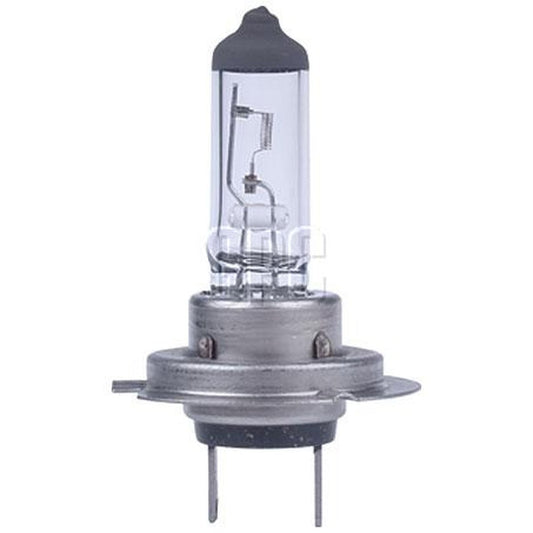 OEX H7 Globe 24V 70W Heavy Duty +50 GLX16176